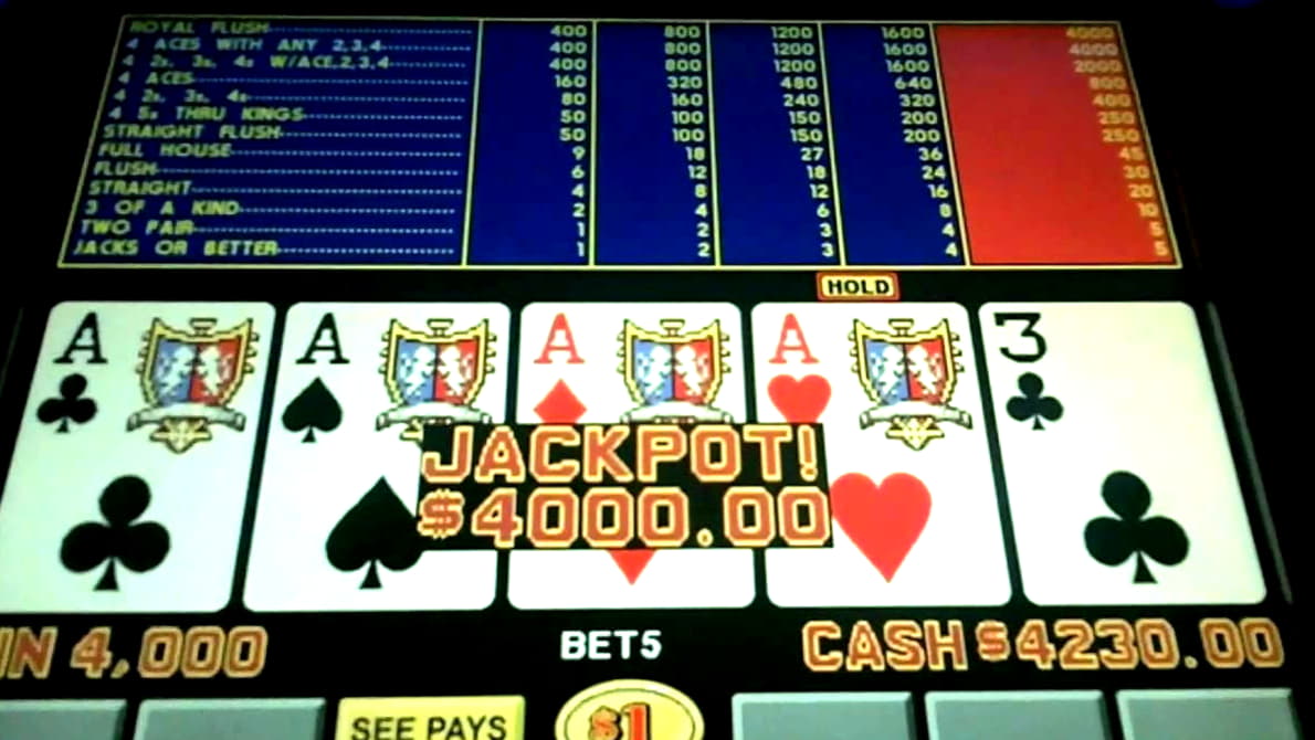 530% Match Bonus Party Casinolla